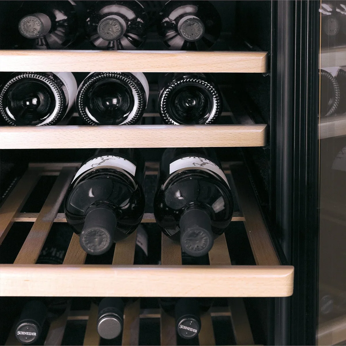 CASO Weinkühlschrank WineComfort 240 Smart - Image 5