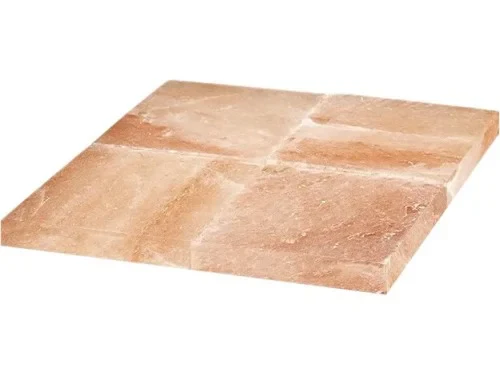 FORCAR Salzblock für Dry-Ager G-GDPH508C