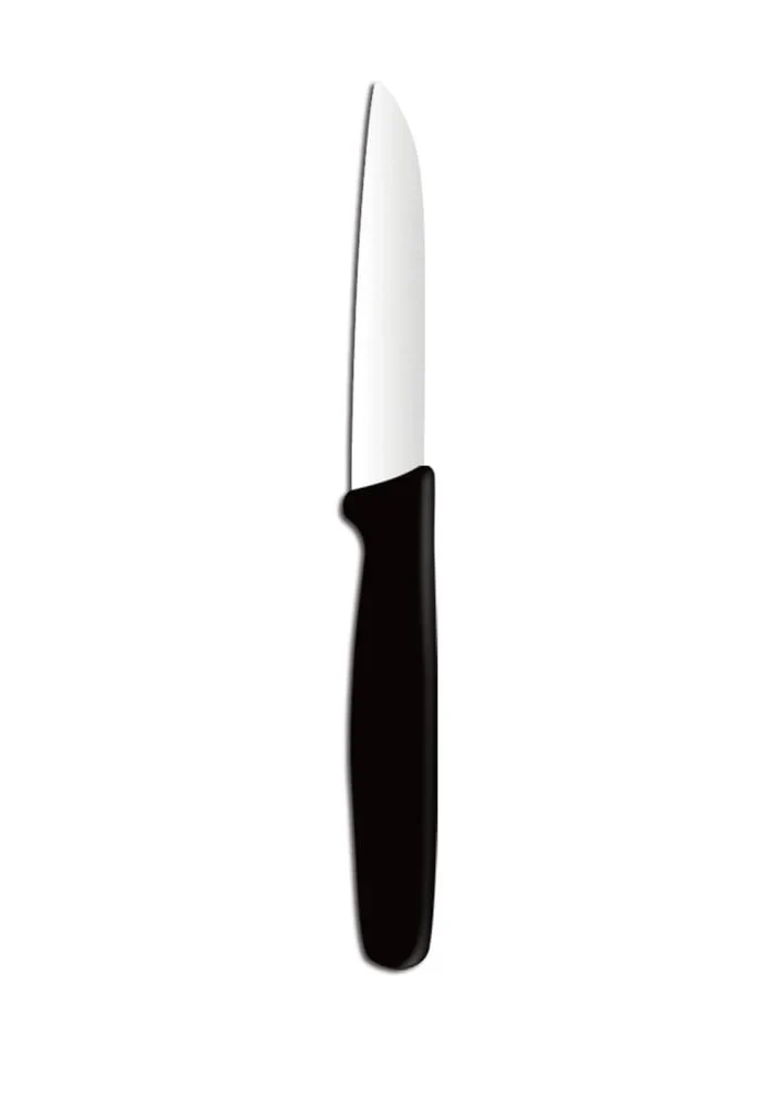 Schälmesser, gerade Klinge 75 mm miz PP Griff